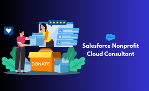 Salesforce Nonprofit Cloud Consultant