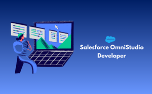 Salesforce OmniStudio Developer