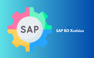 Certificate in SAP BO Xcelsius