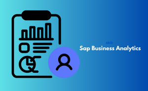Certificate in Sap Business Analytics