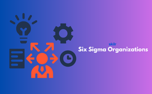 Certificate in Six Sigma Organizations