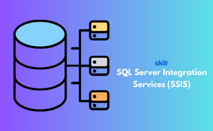 SQL Server Integration Services (SSIS)
