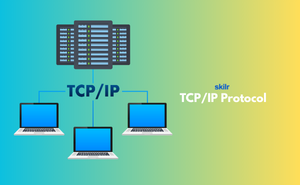 TCP/IP Protocol