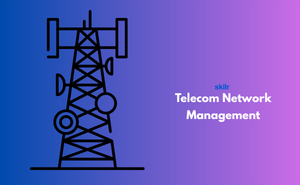 Telecom Network Management