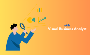 Visual Business Analyst