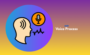 Voice Process