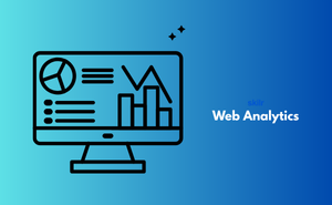 Web Analytics