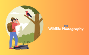 Certificate in Wildlife Photography