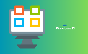 Certificate in Windows 11