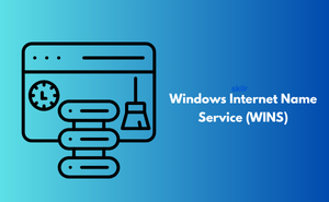 Windows Internet Name Service (WINS)