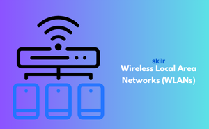 Wireless Local Area Networks (WLANs)