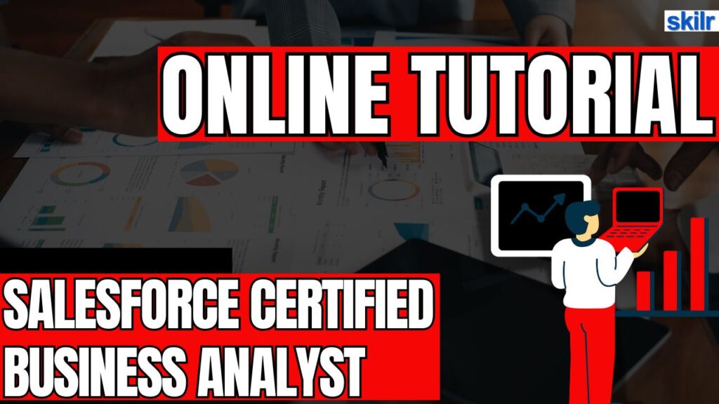 Salesforce Certified Business Analyst